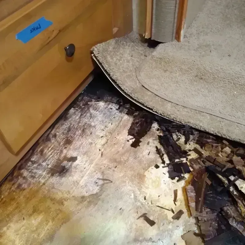 Best Wood Floor Water Damage Service in Garrett Park, MD